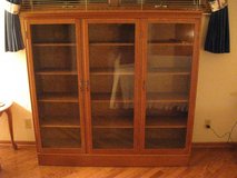Bookcase in New Lenox, Illinois