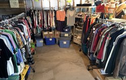 Women's Small Med Large XL 1X 2X Clothing / Tops - Pants - Jeans - Capri - Leggings + in Joliet, Illinois