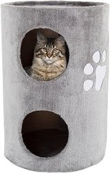 Stolen: cat tower in Alamogordo, New Mexico