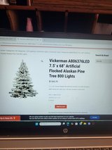 VICKERMAN CHRISTMAS TREE in Beaufort, South Carolina