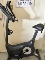 Schwinn 170 Upright Exercise Bike in Okinawa, Japan