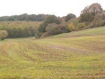 Different Location Sizes--LAND-- No Plots in Ramstein, Germany