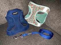 Leash & Two Dog Harnessess,  Size M in Byron, Georgia