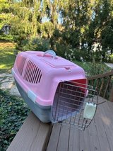 cat carrier in Plainfield, Illinois