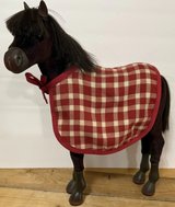 American Girls Horse Patriot in Plainfield, Illinois