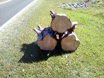 12" Cypress Logs 2 feet long - Firewood or Crafts in Warner Robins, Georgia