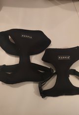 Harness in Baumholder, GE