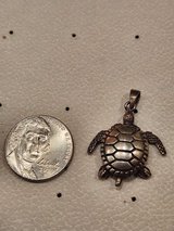 Silver Sea Turtle Pendant in Camp Pendleton, California