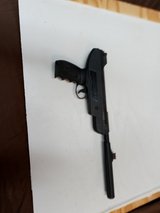 Pellet gun in Alamogordo, New Mexico