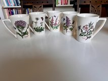 Portmeiron Botanic Garden Mugs different motifs in Ramstein, Germany