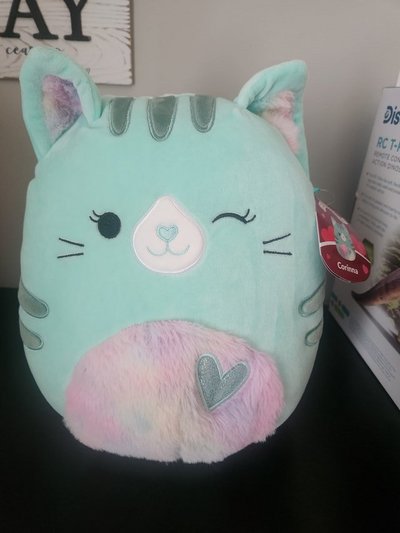 Squishmallow new in Chicago