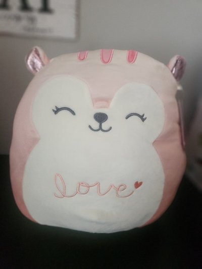 Squishmallow new in Chicago
