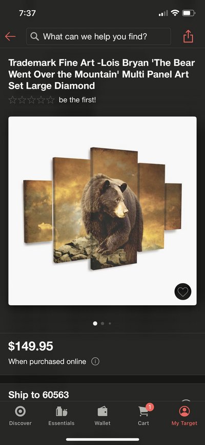 Bear Canvas Picture in St. Charles