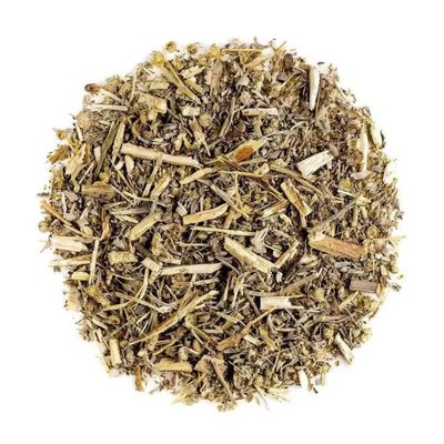 Mugwort Tea Felon Herb, Riverside Wormwood Herbal Tea in Belleville
