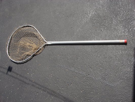 $10 DOLLAR FISHING ITEMS in Aurora