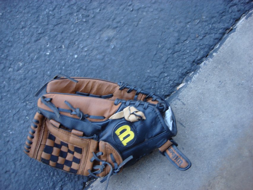 WILSON ELITE BALL GLOVE in Kaneohe Bay