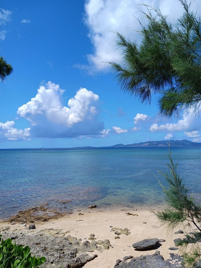 SINGLE HOUSE IN ONNA ☆PET OK Rental by owner for sale on Okinawa