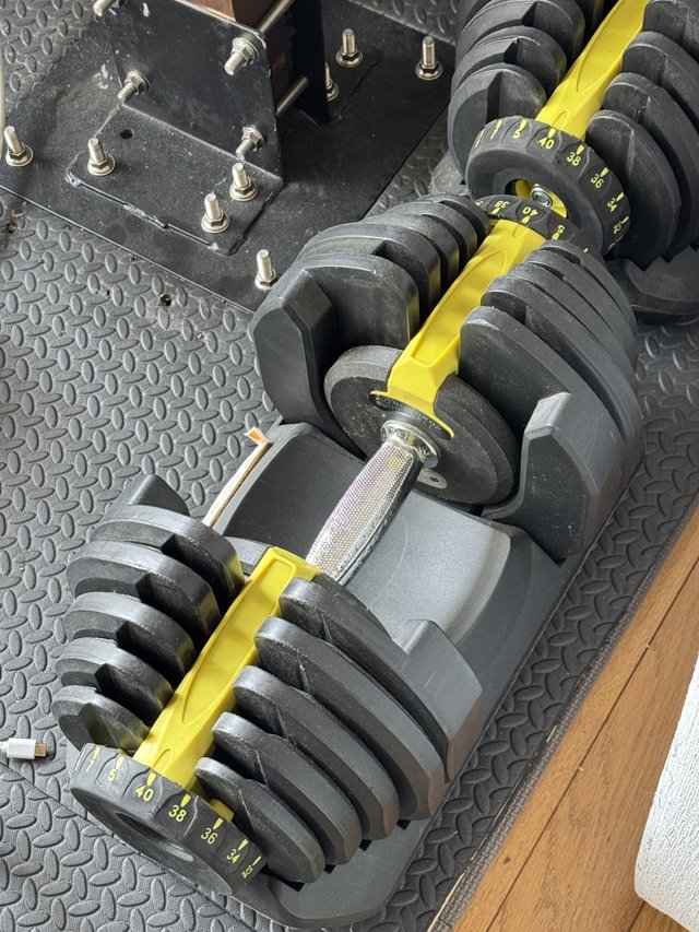 80 pound adjustable dumbbells Fitness & Sports for sale on Okinawa