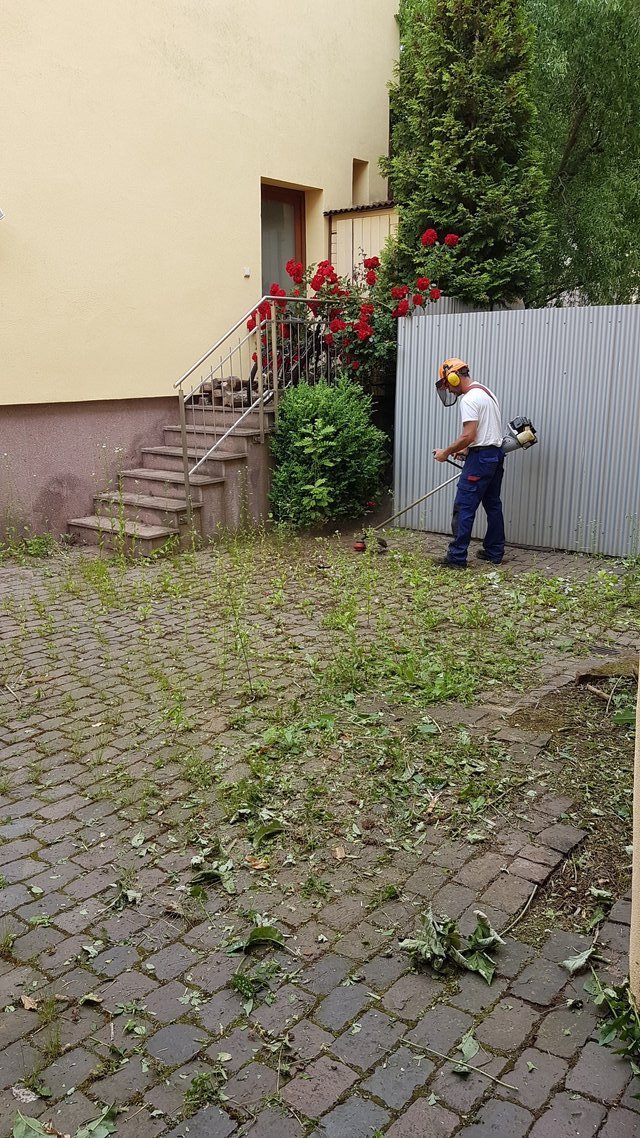 Yard Work/Lawn Care/Maintenance/Pressure washing Service      book your spring cleanup and lawn ... in Ramstein