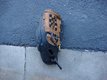 WILSON ELITE BALL GLOVE in Kaneohe Bay