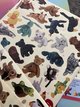 Ty Beanie Babies Official Membership Kit in Warner Robins