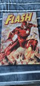 The FLASH Vinyl Poster - NEW in Camp Lejeune