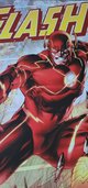 The FLASH Vinyl Poster - NEW in Camp Lejeune