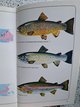 Fresh water fishes of Britain and Europe in Ramstein