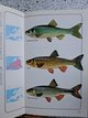 Fresh water fishes of Britain and Europe in Ramstein