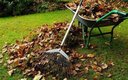 YARD & GARDEN MAINTENANCE/TRASH & JUNK HAULING / GARBEGE REMOVAL/CLEANING & LOCAL MOVING SERVICE... in Ramstein