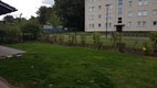 Yard Work/Lawn Care/Maintenance/Pressure washing Service      book your spring cleanup and lawn ... in Ramstein
