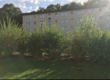Yard Work/Lawn Care/Maintenance/Pressure washing Service      book your spring cleanup and lawn ... in Ramstein
