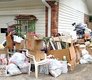 YARD & GARDEN MAINTENANCE/TRASH & JUNK HAULING / GARBEGE REMOVAL/CLEANING & LOCAL MOVING SERVICE... in Ramstein