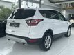 2017 FORD ESCAPE SE 4WD in Ramstein